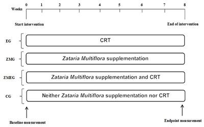 Independent and Combined Effects of Antioxidant Supplementation and Circuit Resistance Training on Selected Adipokines in Postmenopausal Women